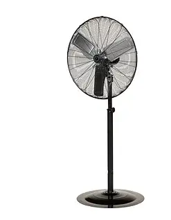 Pedestal Fans
